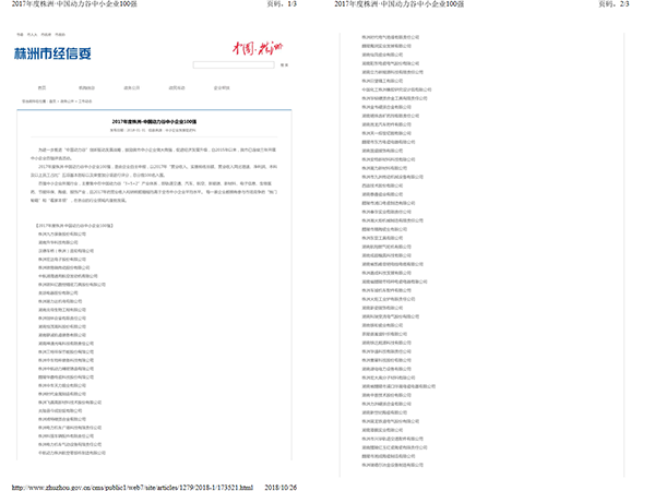 株洲中小企業(yè)100強(qiáng)